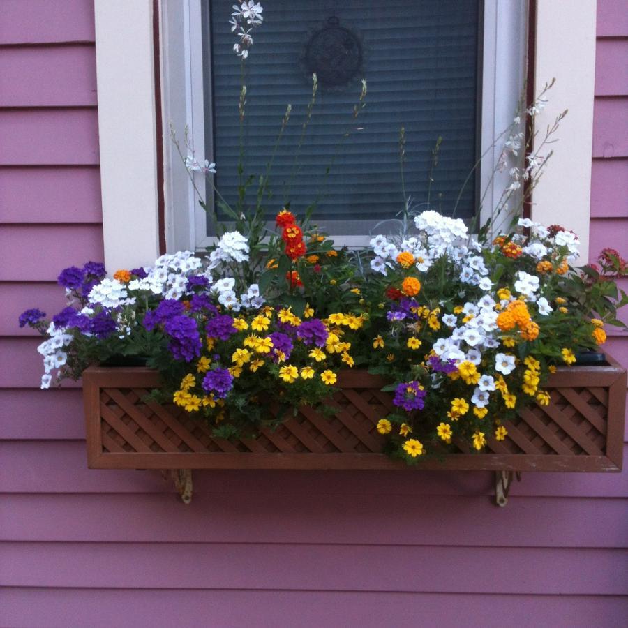 Rose & Thistle Bed & Breakfast Cooperstown Eksteriør billede